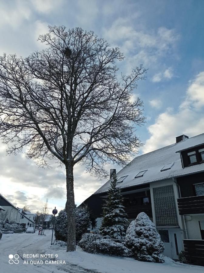 Winterberg Centrum Ssc Sommercard Kültér fotó
